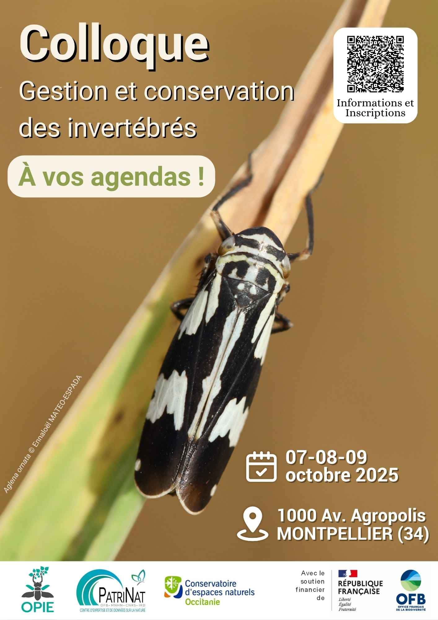 Affiche du colloque gestion et conservation des invertébrés (Montpellier 2025)