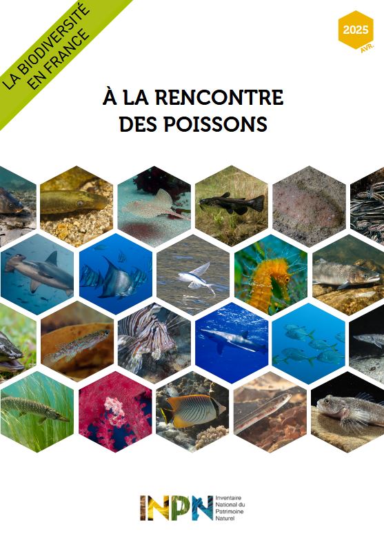 Couv livret poissons