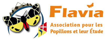 Logo de l'association Flavia APE