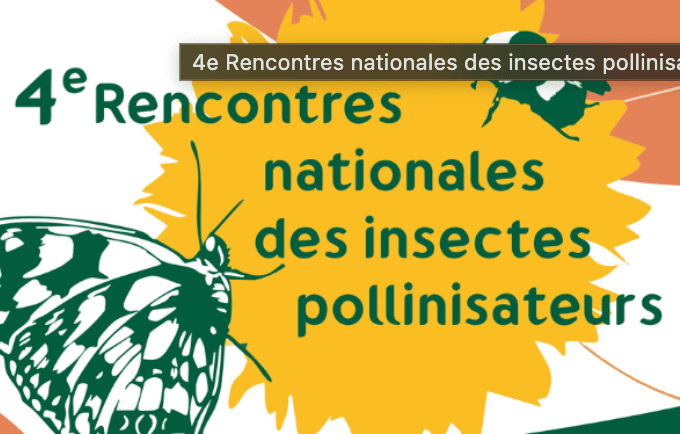 Illustration des 4èmes rencontres nationales des insectes pollinisateurs (Lyon, Octobre 2025)