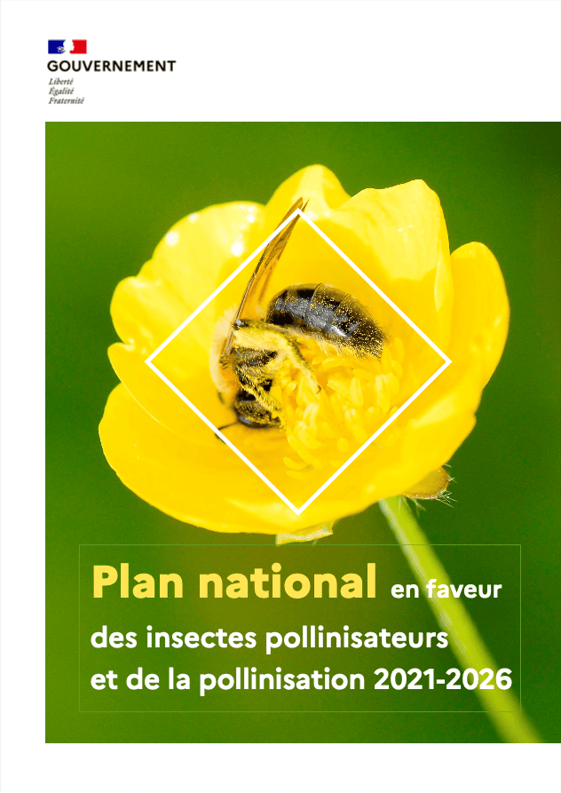 Illustration de la page de couverture du Plan national d'actions en faveur des pollinisateurs et de la pollinisation 2021-2026
