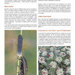 Exemple de page du guide Pentaura sur les punaises pentatomoidea - présentation des milieux