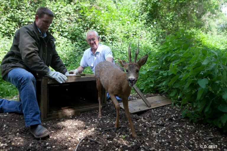 photo_projet_CVB_Pilat_ETU-D