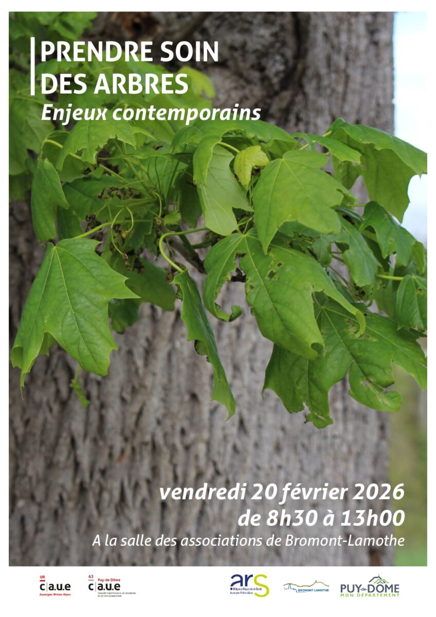 prendre soin des arbres - Puy-de-Dôme - 20 février 2026