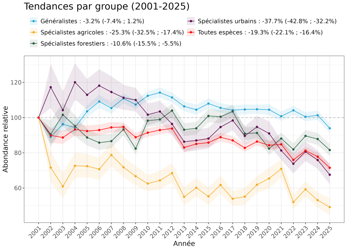 Evolution des populations d'oiseaux entre 2001 et 2025 grâce à l'indicateur STOC