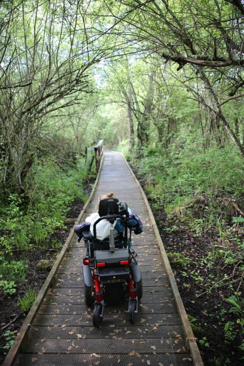 Photo d'illustration d'un enfant en fauteuil roulant dans une réserve naturelle