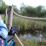 Photo d'illustration d'un enfant en fauteuil roulant dans une réserve naturelle