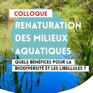 Illustration du colloque sur la renaturation des milieux aquatiques (extrait de l'affiche)