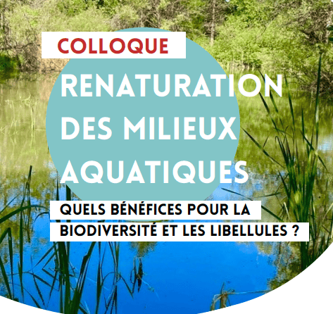 Illustration du colloque sur la renaturation des milieux aquatiques (extrait de l'affiche)