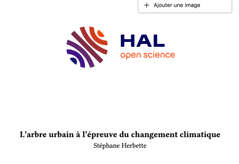 L’arbre urbain à l’épreuve du changement climatique